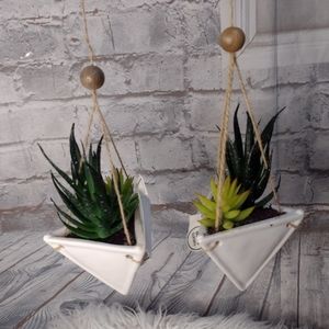 Two Wall hanging fake succulent plant